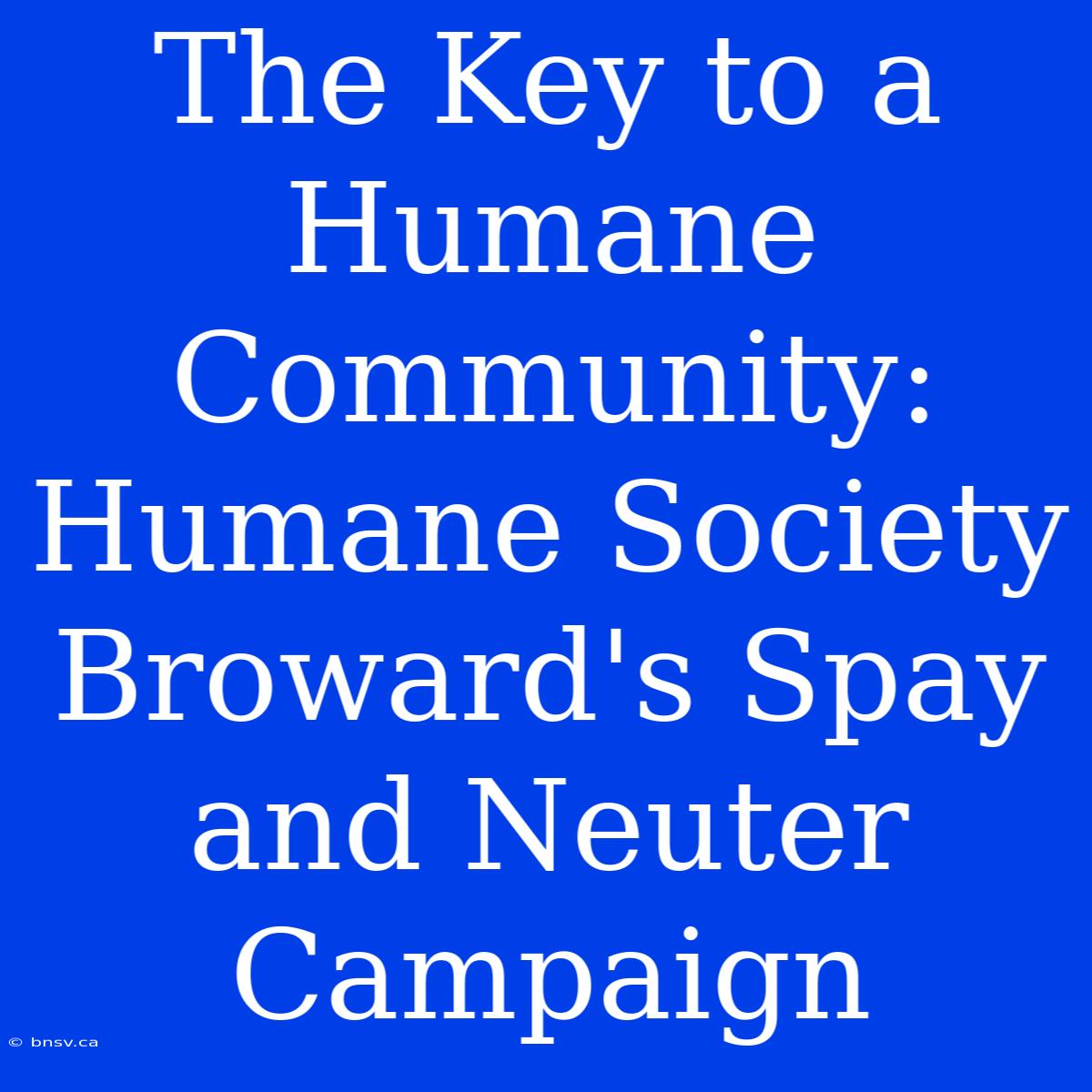 The Key To A Humane Community: Humane Society Broward's Spay And Neuter Campaign