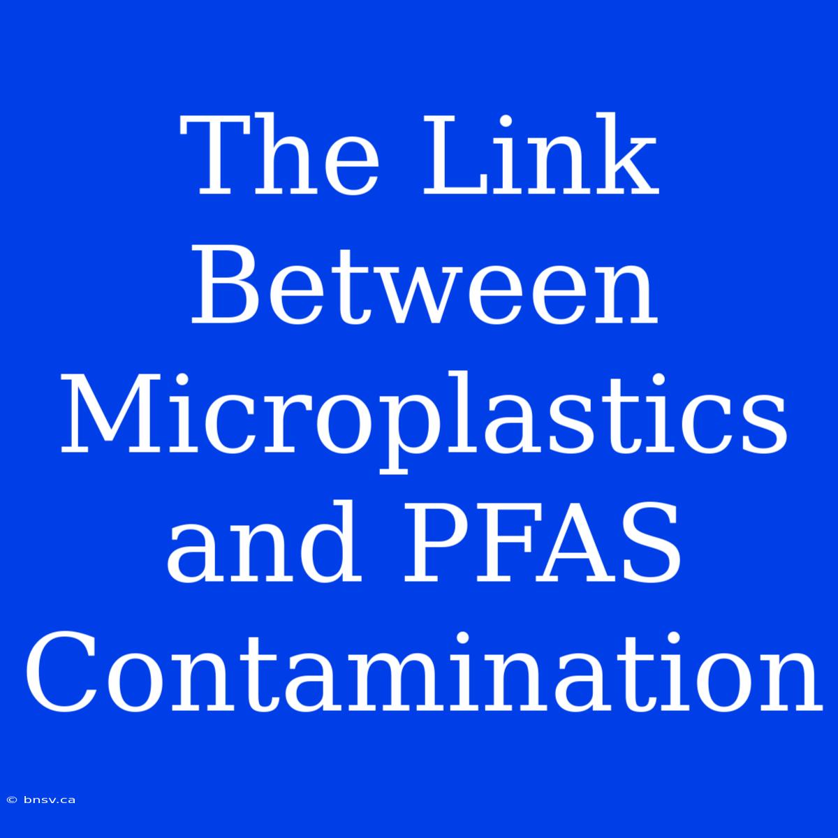 The Link Between Microplastics And PFAS Contamination