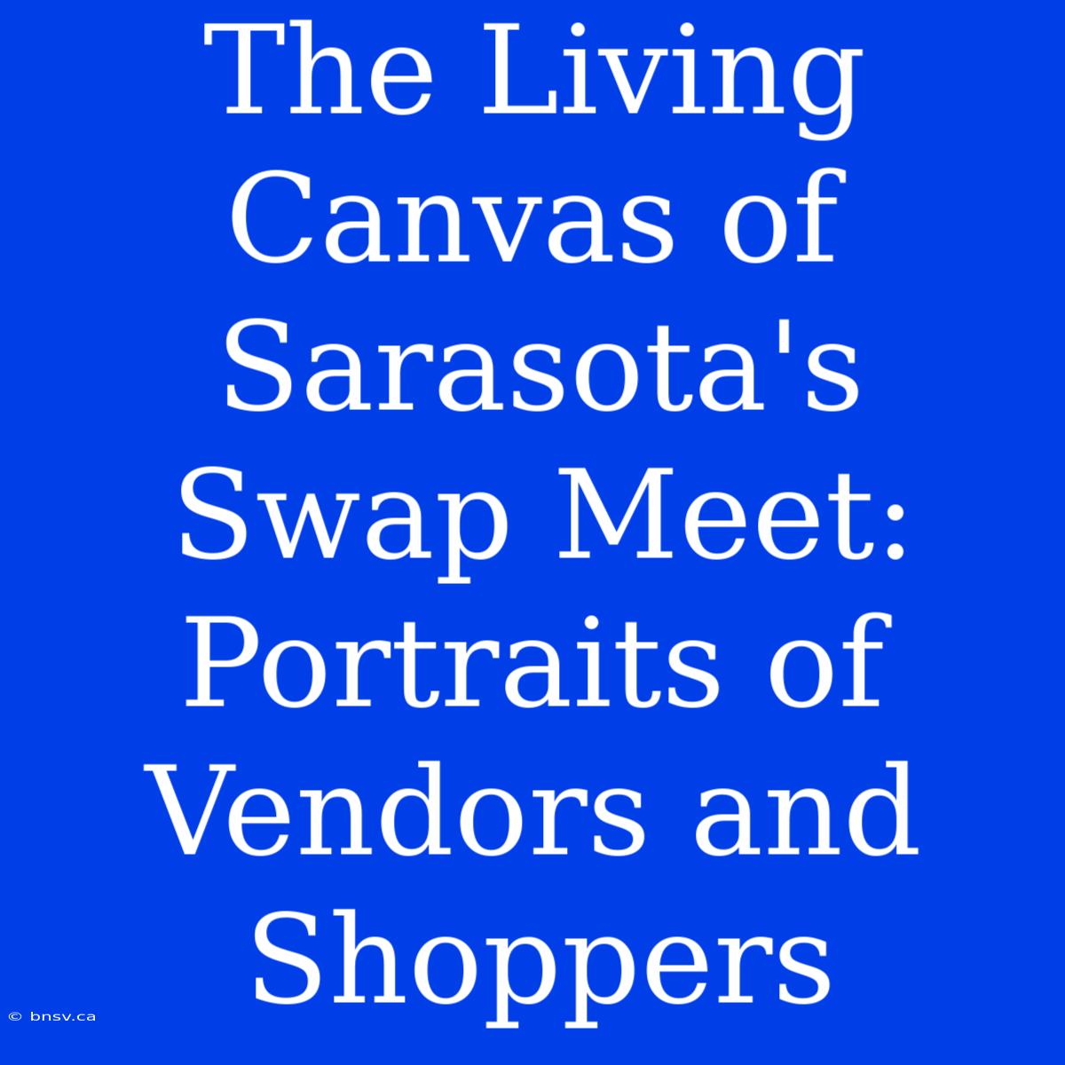 The Living Canvas Of Sarasota's Swap Meet: Portraits Of Vendors And Shoppers