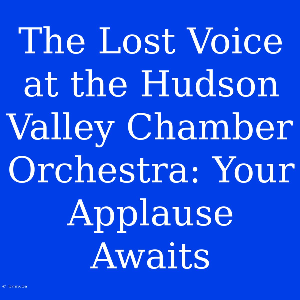 The Lost Voice At The Hudson Valley Chamber Orchestra: Your Applause Awaits