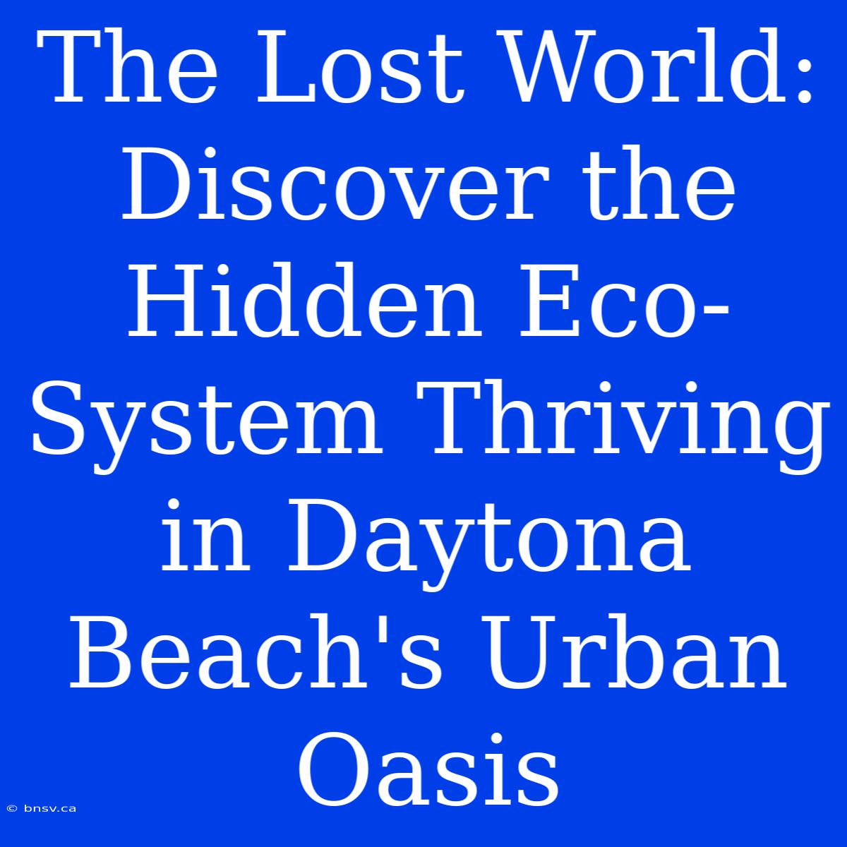 The Lost World: Discover The Hidden Eco-System Thriving In Daytona Beach's Urban Oasis