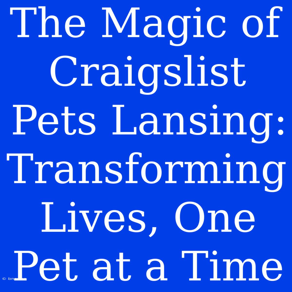 The Magic Of Craigslist Pets Lansing: Transforming Lives, One Pet At A Time