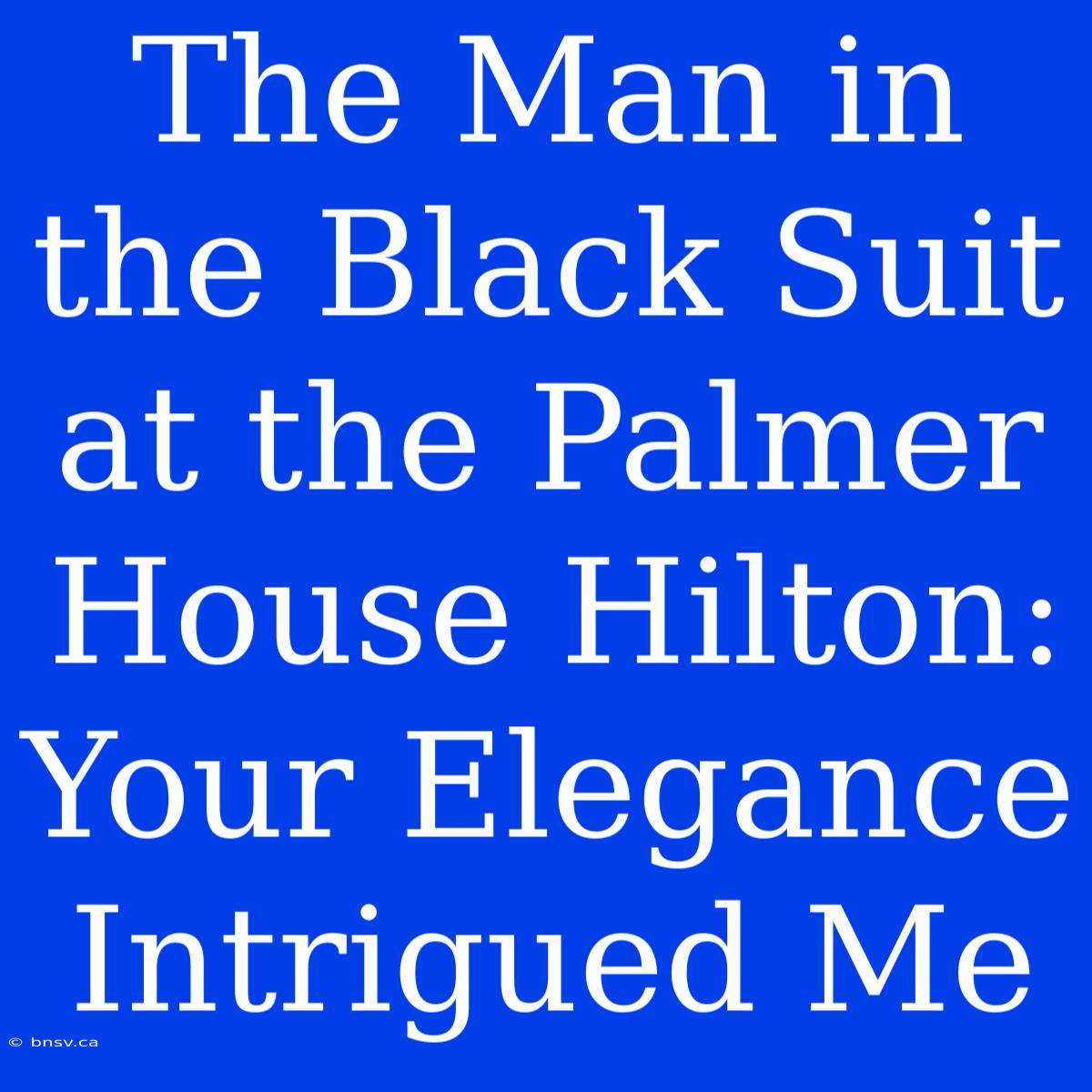 The Man In The Black Suit At The Palmer House Hilton: Your Elegance Intrigued Me