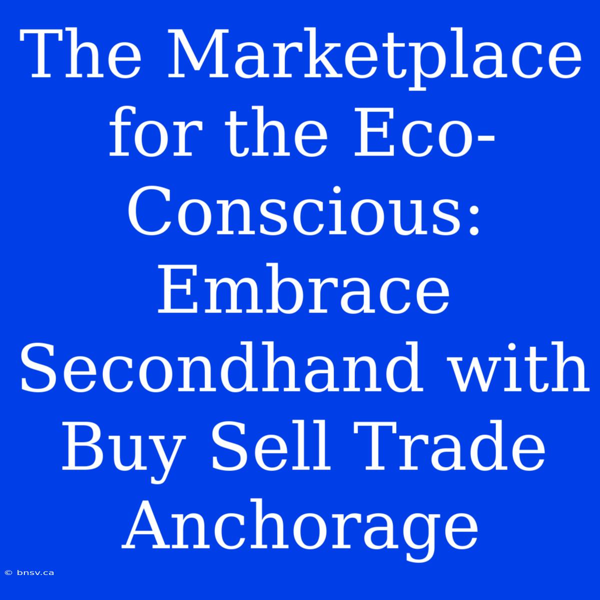 The Marketplace For The Eco-Conscious: Embrace Secondhand With Buy Sell Trade Anchorage