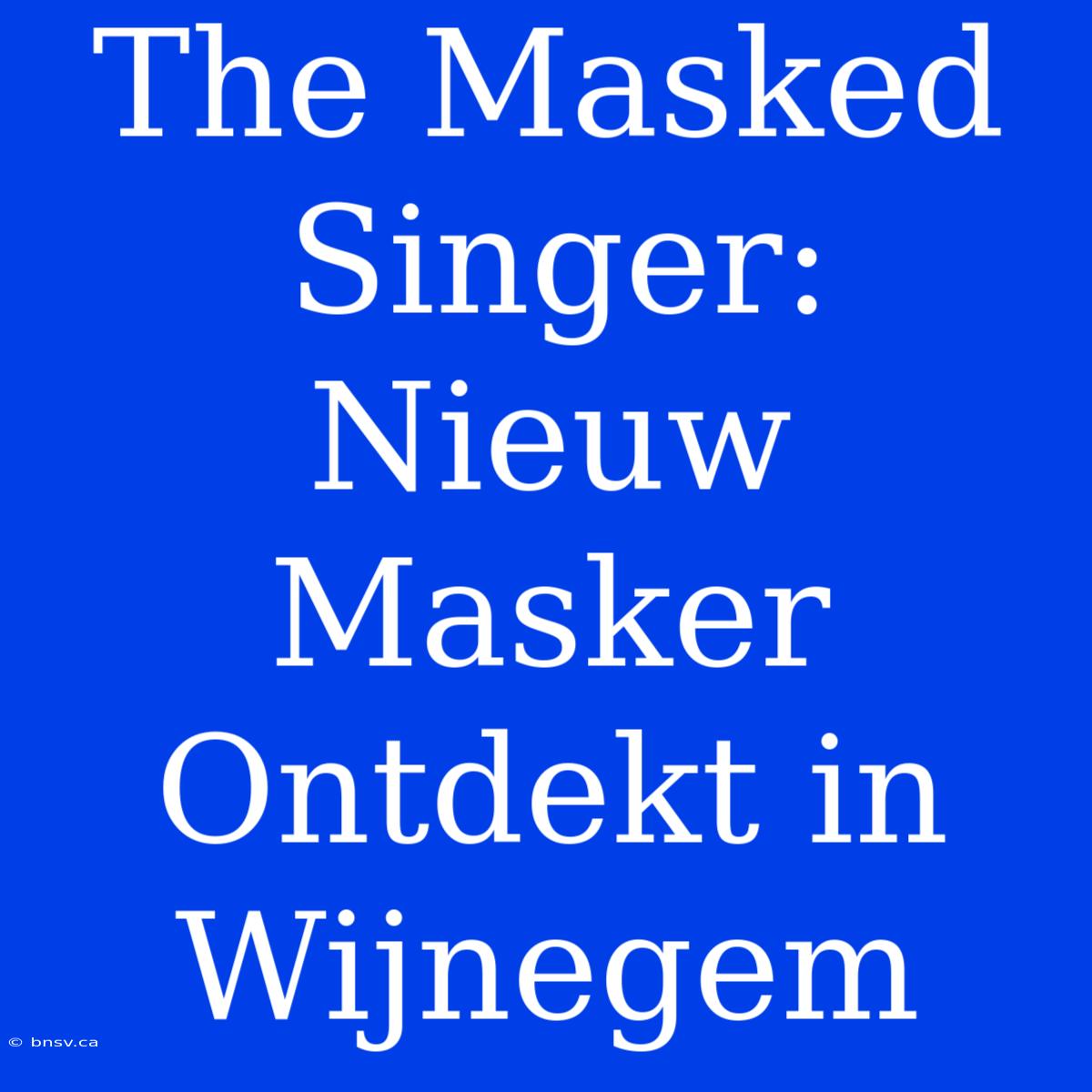 The Masked Singer: Nieuw Masker Ontdekt In Wijnegem