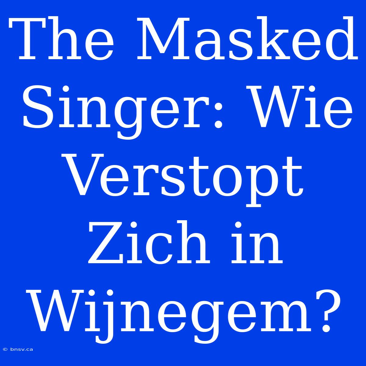 The Masked Singer: Wie Verstopt Zich In Wijnegem?