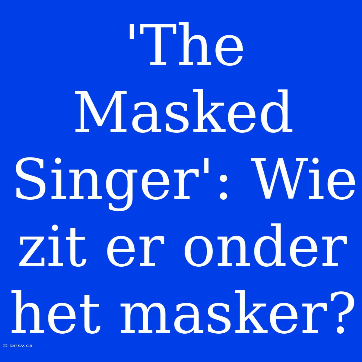 'The Masked Singer': Wie Zit Er Onder Het Masker?