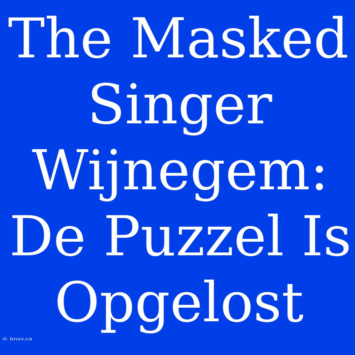 The Masked Singer Wijnegem: De Puzzel Is Opgelost