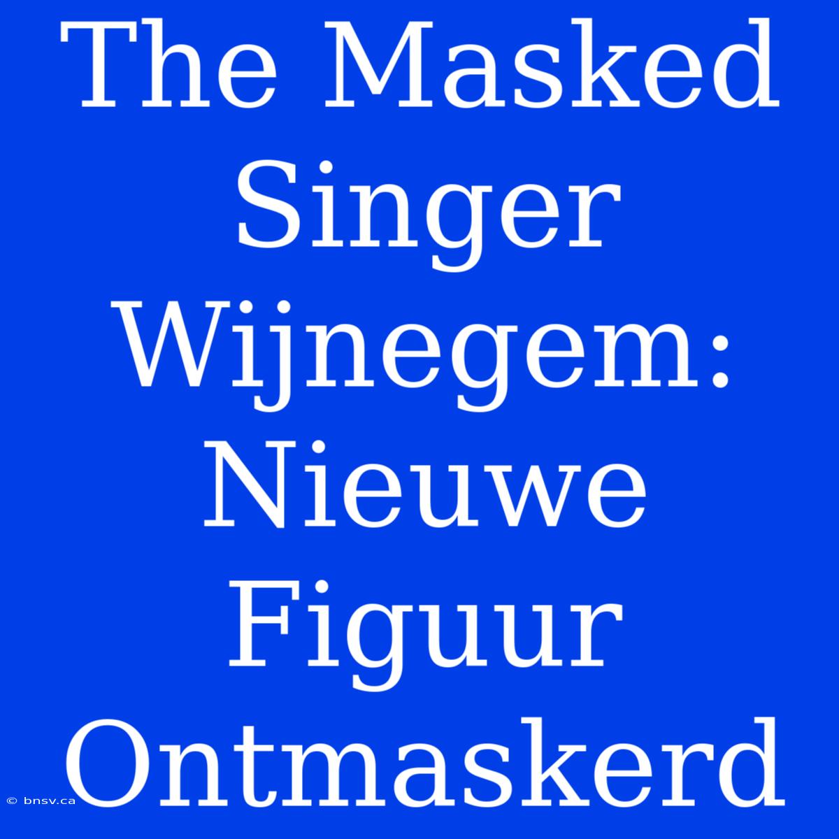 The Masked Singer Wijnegem: Nieuwe Figuur Ontmaskerd