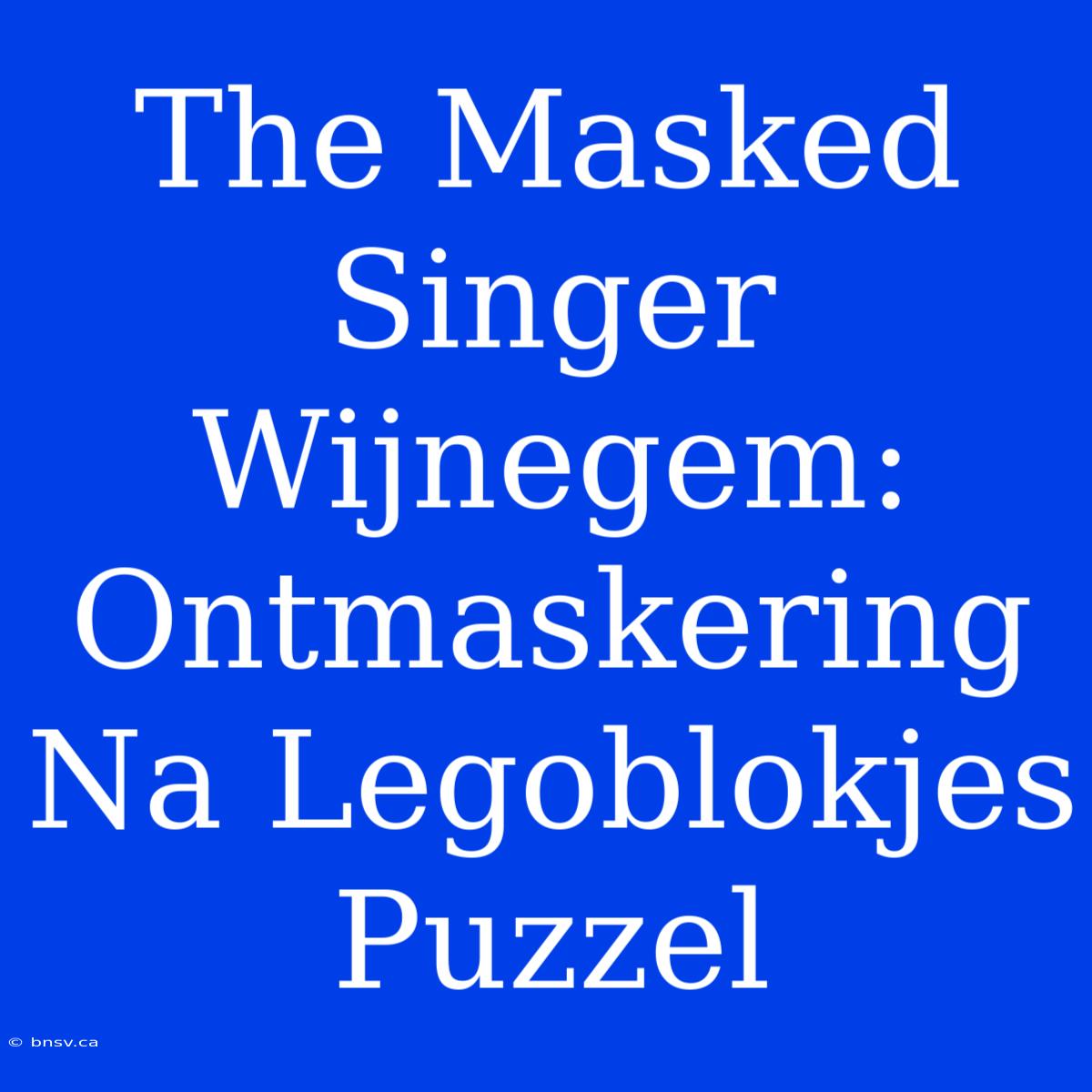 The Masked Singer Wijnegem: Ontmaskering Na Legoblokjes Puzzel