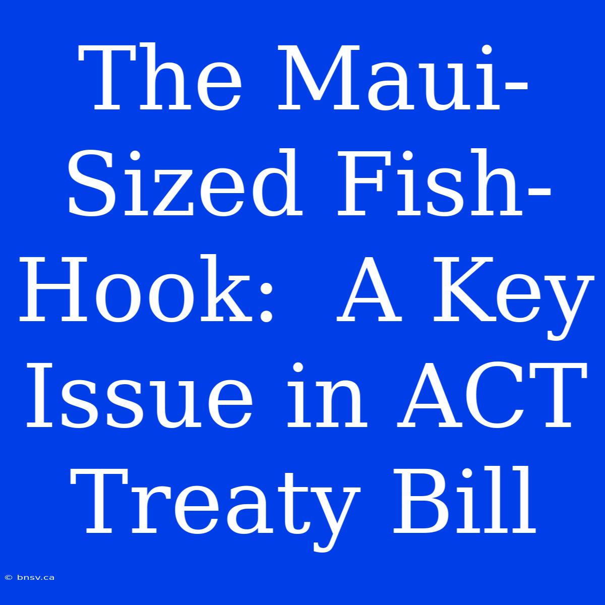 The Maui-Sized Fish-Hook:  A Key Issue In ACT Treaty Bill