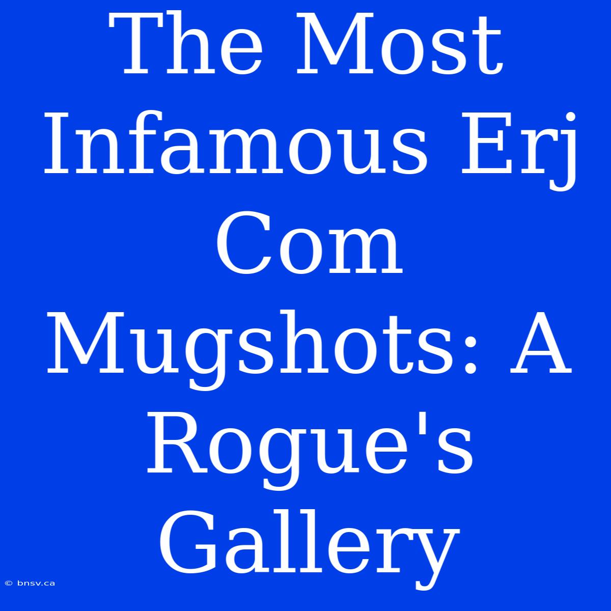 The Most Infamous Erj Com Mugshots: A Rogue's Gallery