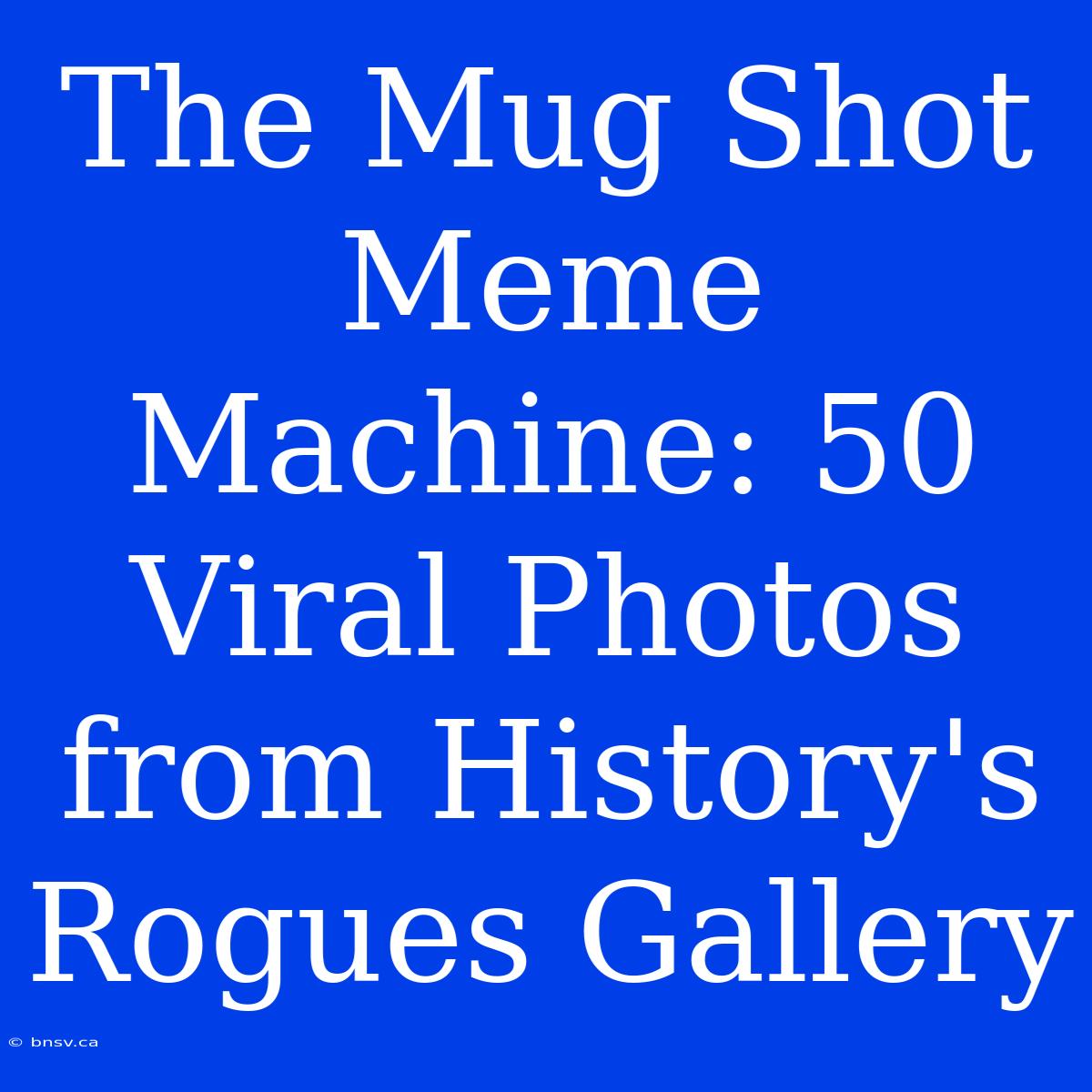 The Mug Shot Meme Machine: 50 Viral Photos From History's Rogues Gallery