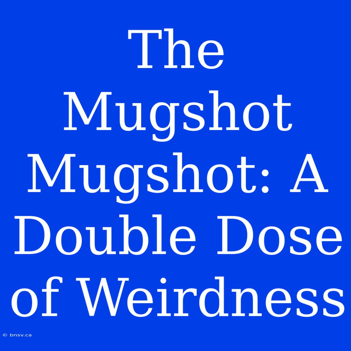 The Mugshot Mugshot: A Double Dose Of Weirdness