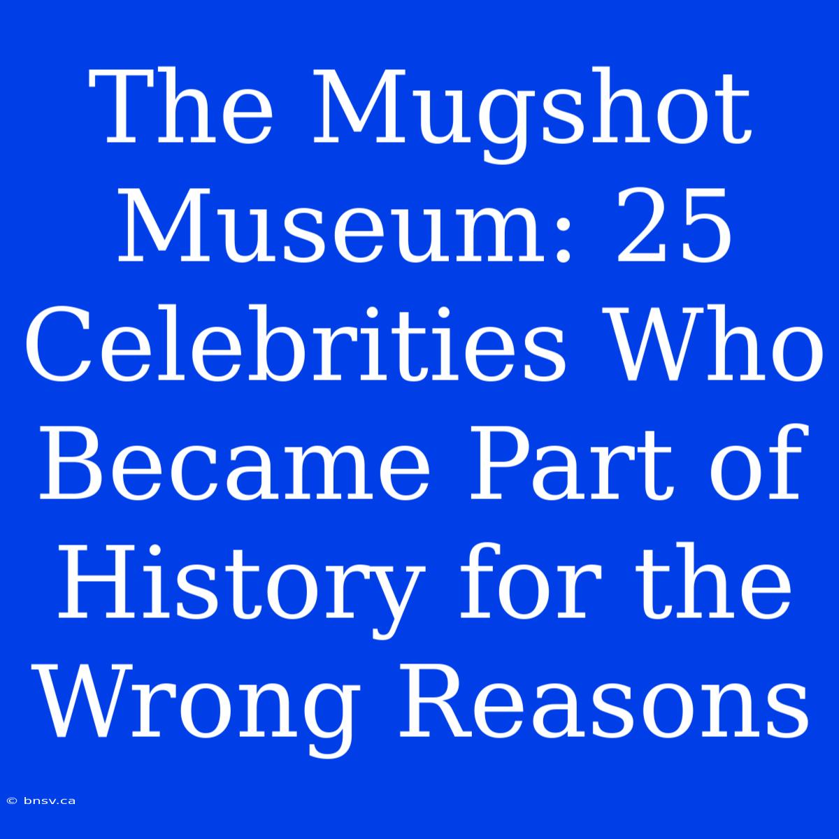 The Mugshot Museum: 25 Celebrities Who Became Part Of History For The Wrong Reasons