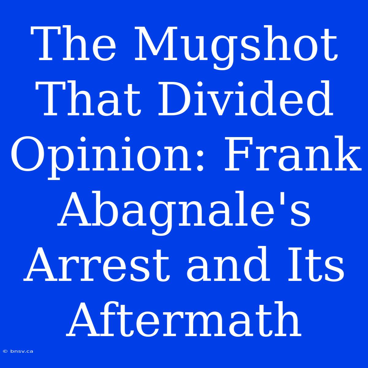 The Mugshot That Divided Opinion: Frank Abagnale's Arrest And Its Aftermath