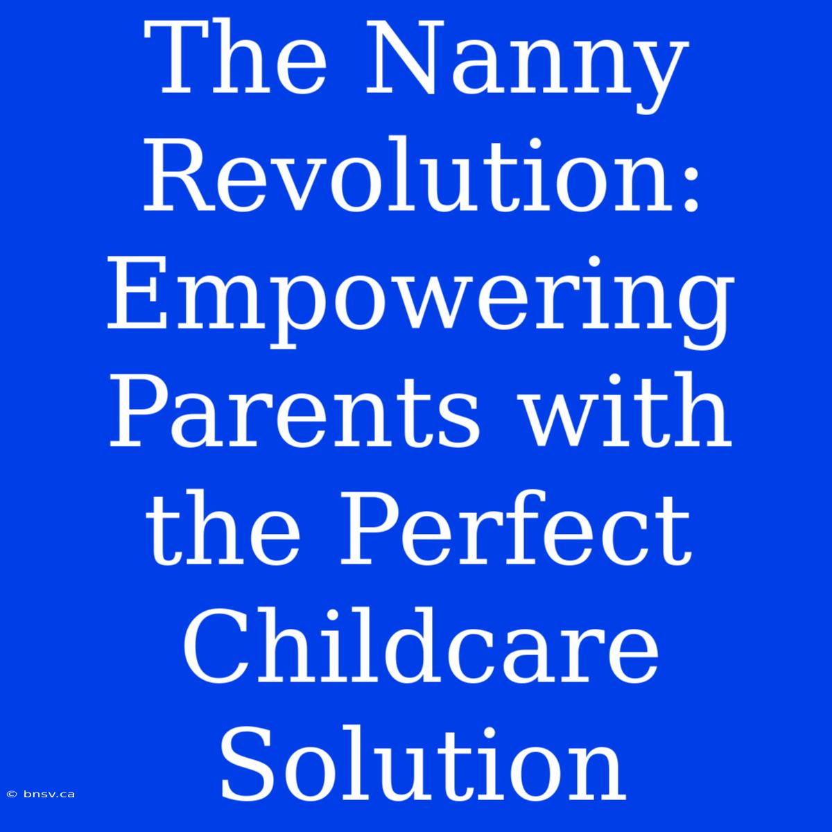 The Nanny Revolution: Empowering Parents With The Perfect Childcare Solution