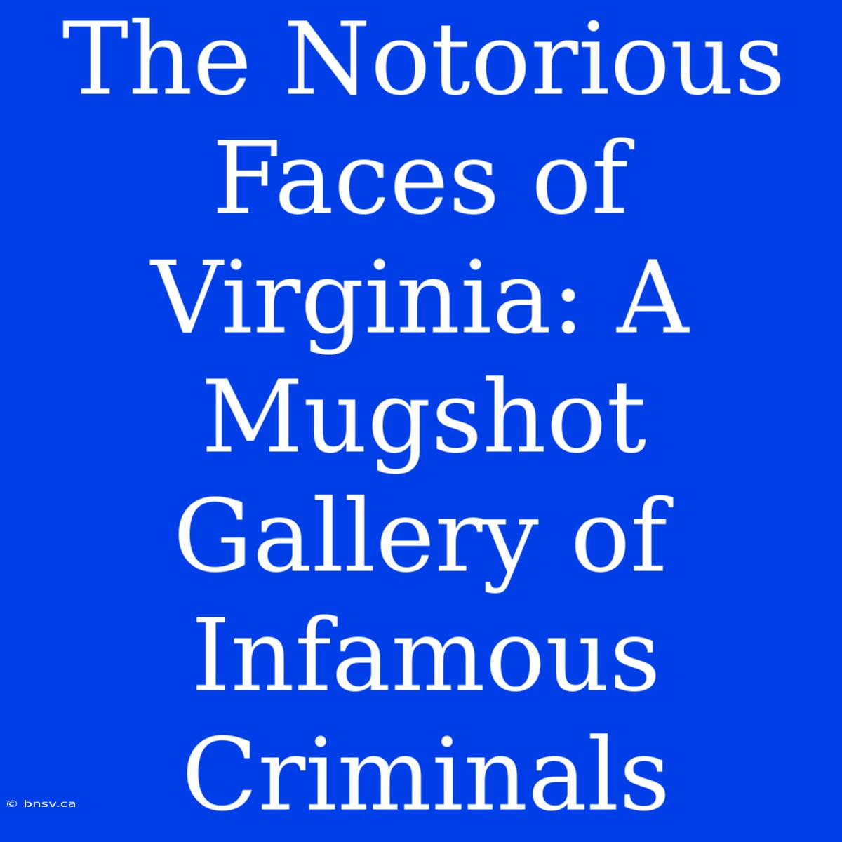 The Notorious Faces Of Virginia: A Mugshot Gallery Of Infamous Criminals