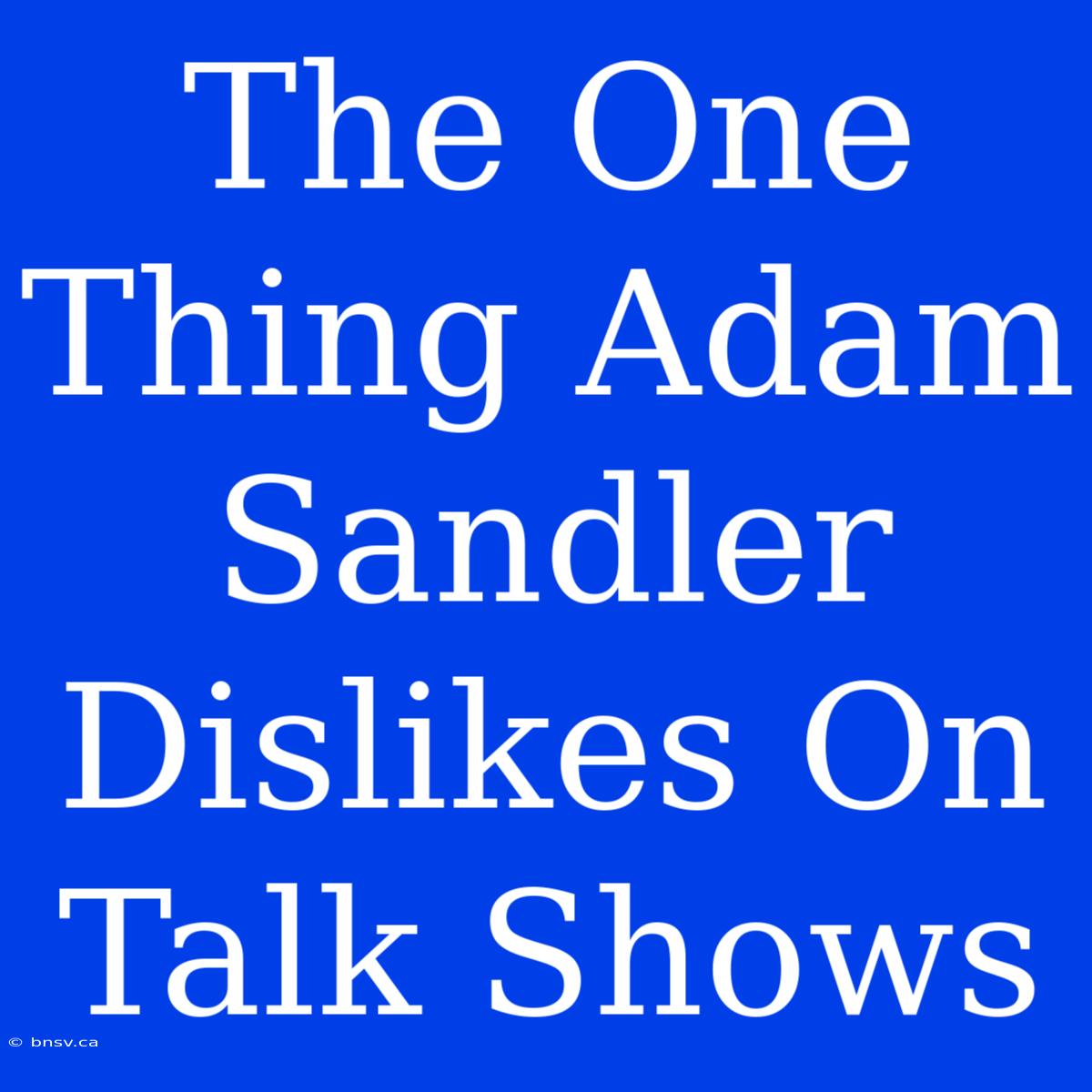 The One Thing Adam Sandler Dislikes On Talk Shows