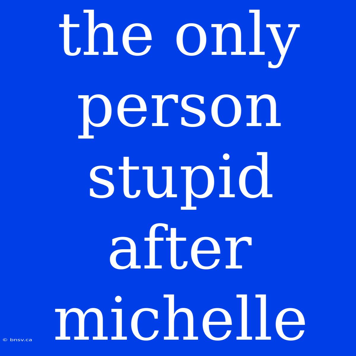 The Only Person Stupid After Michelle