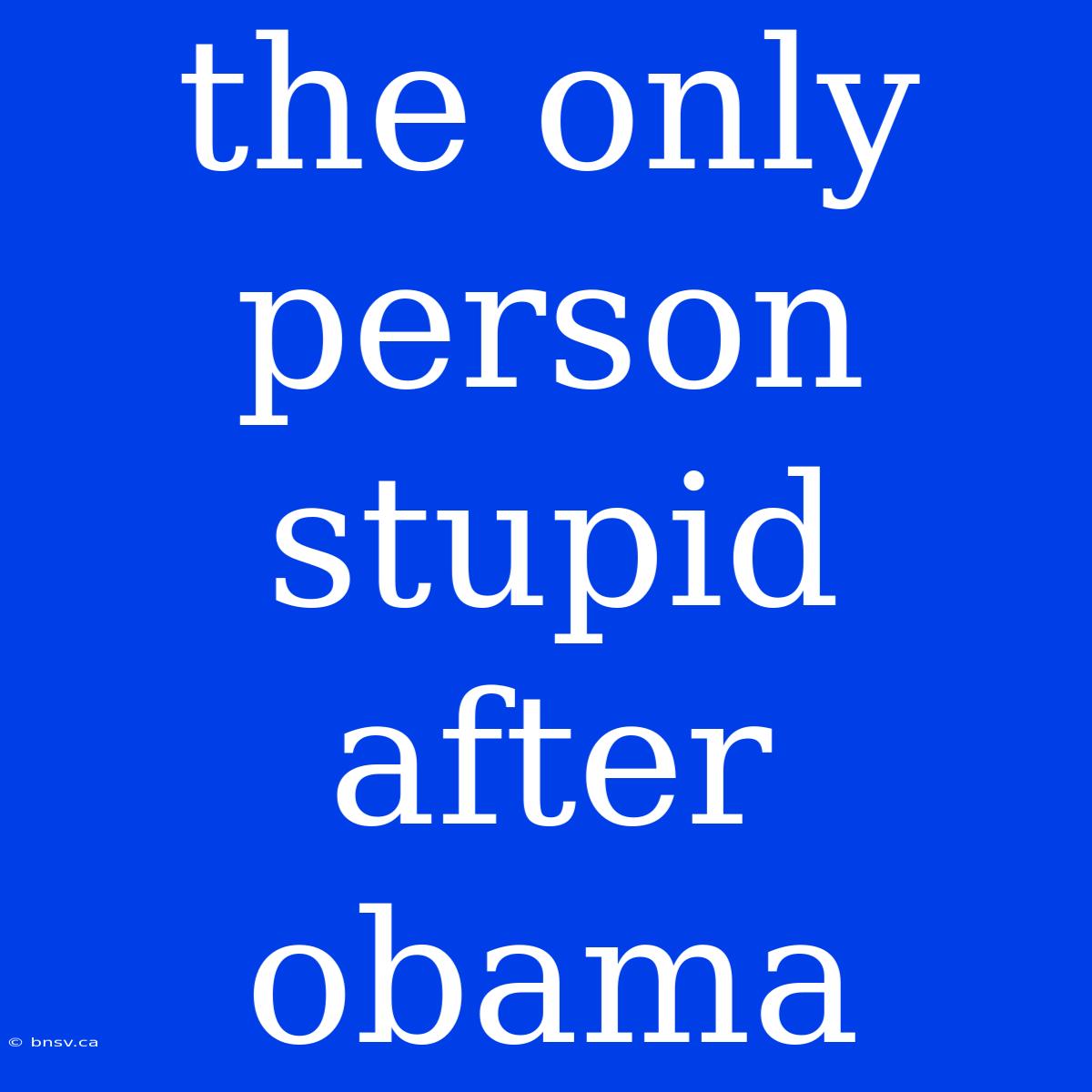 The Only Person Stupid After Obama