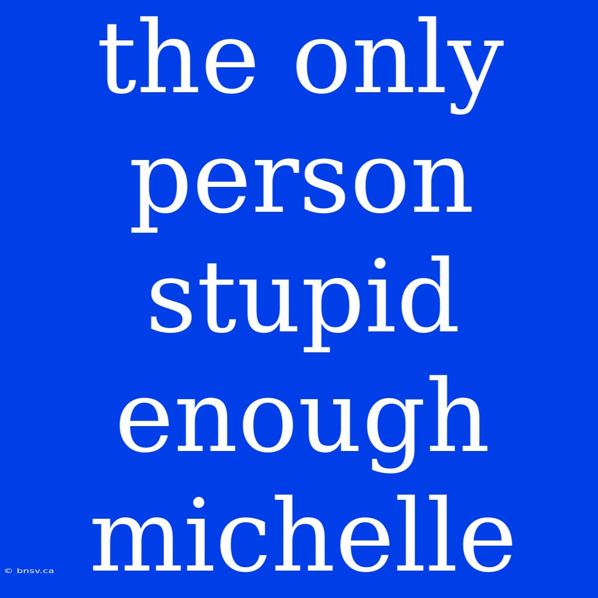 The Only Person Stupid Enough Michelle