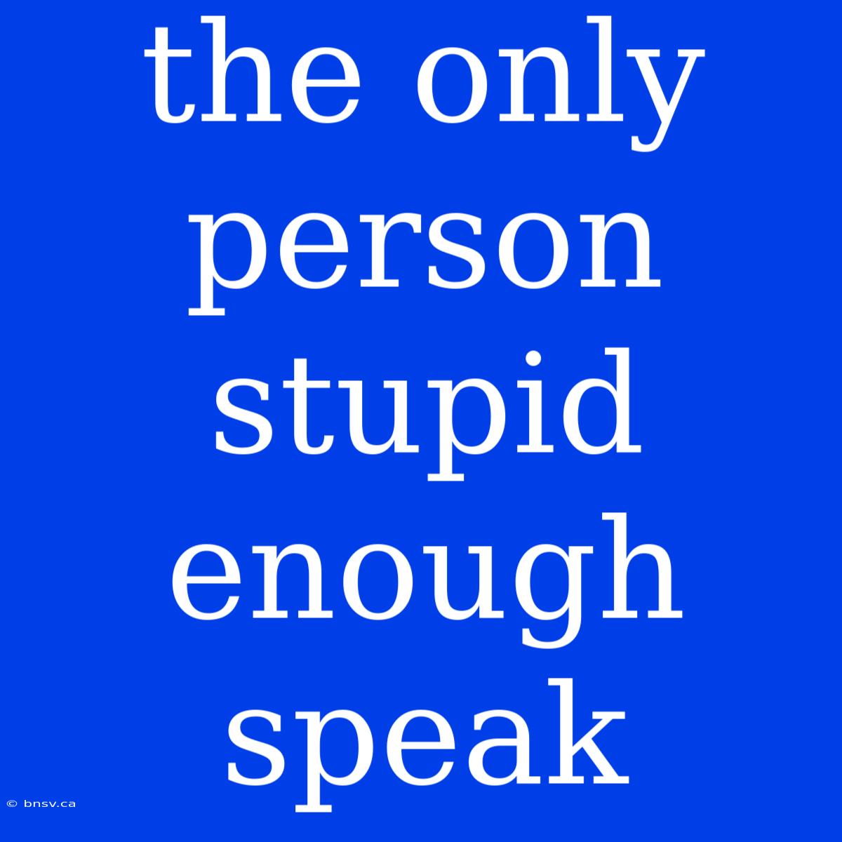 The Only Person Stupid Enough Speak