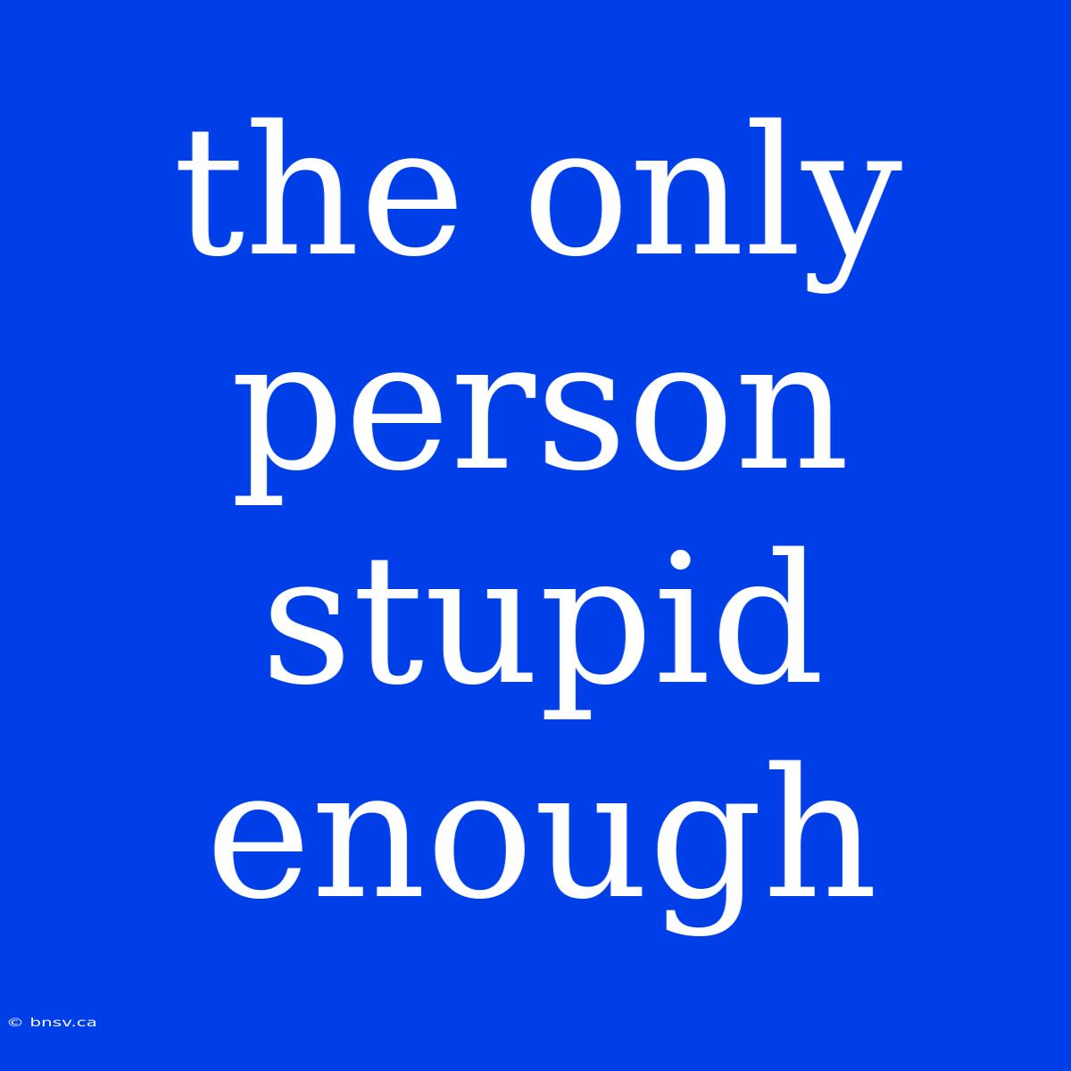 The Only Person Stupid Enough