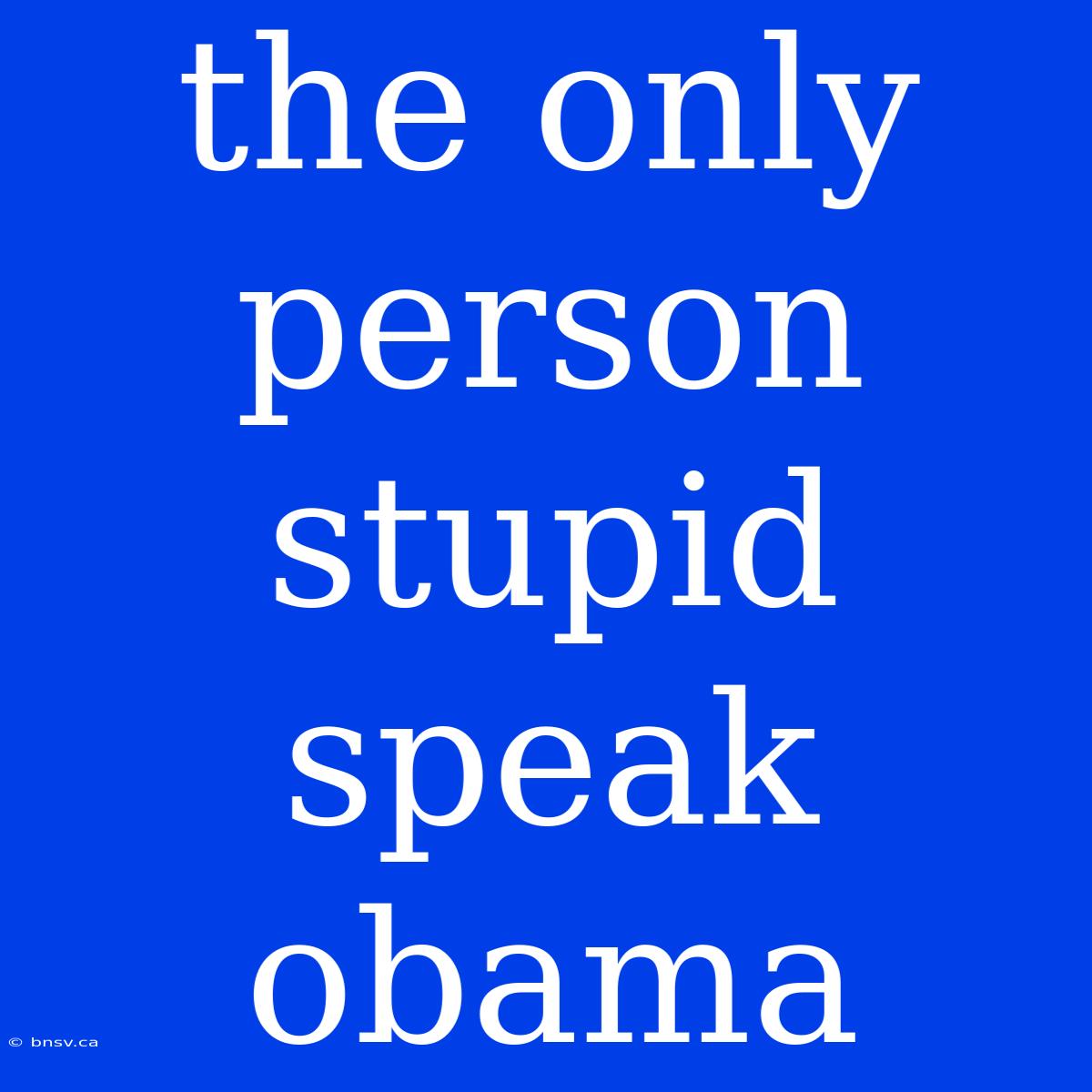 The Only Person Stupid Speak Obama