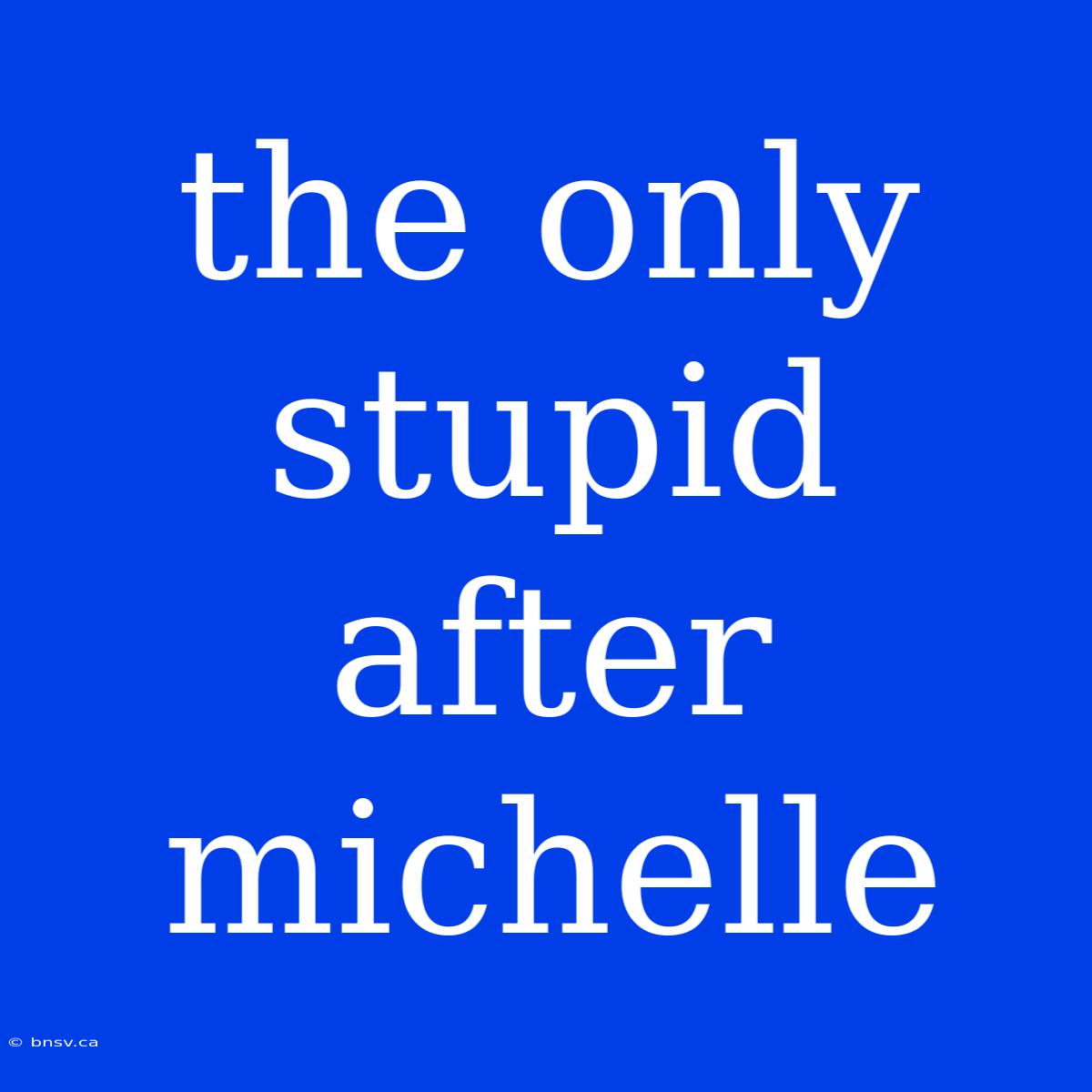 The Only Stupid After Michelle