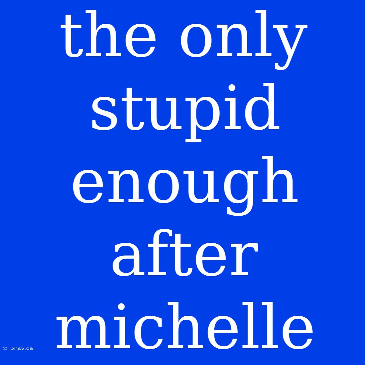 The Only Stupid Enough After Michelle