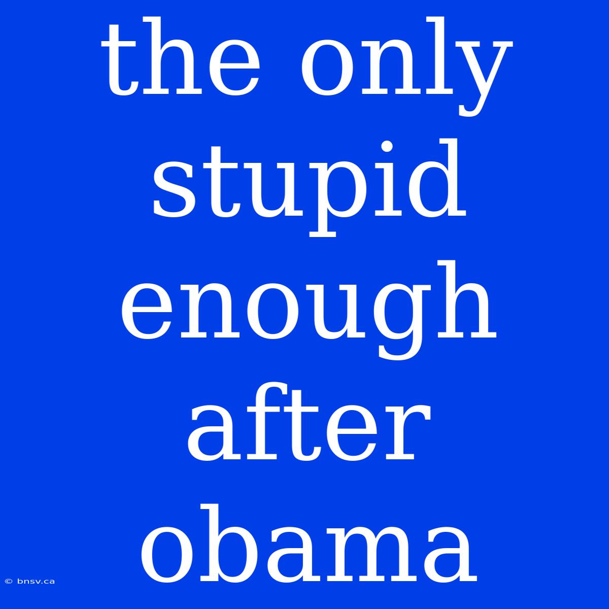 The Only Stupid Enough After Obama