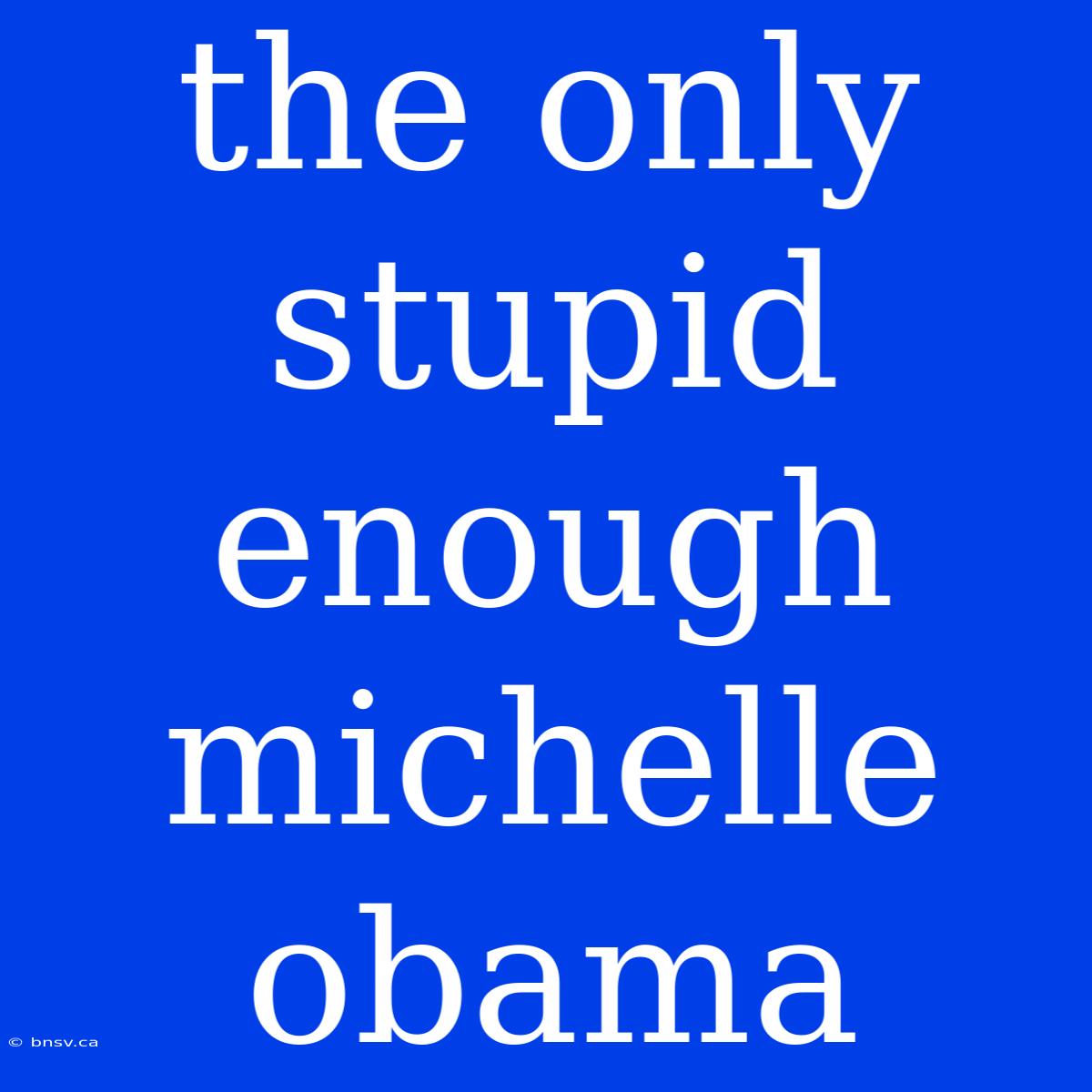 The Only Stupid Enough Michelle Obama