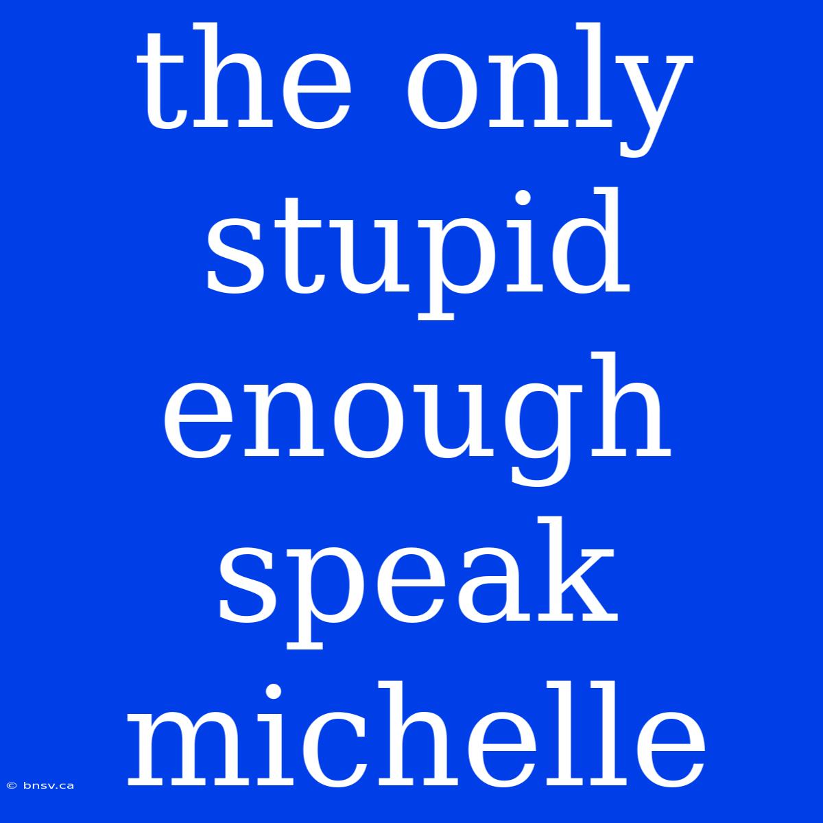 The Only Stupid Enough Speak Michelle