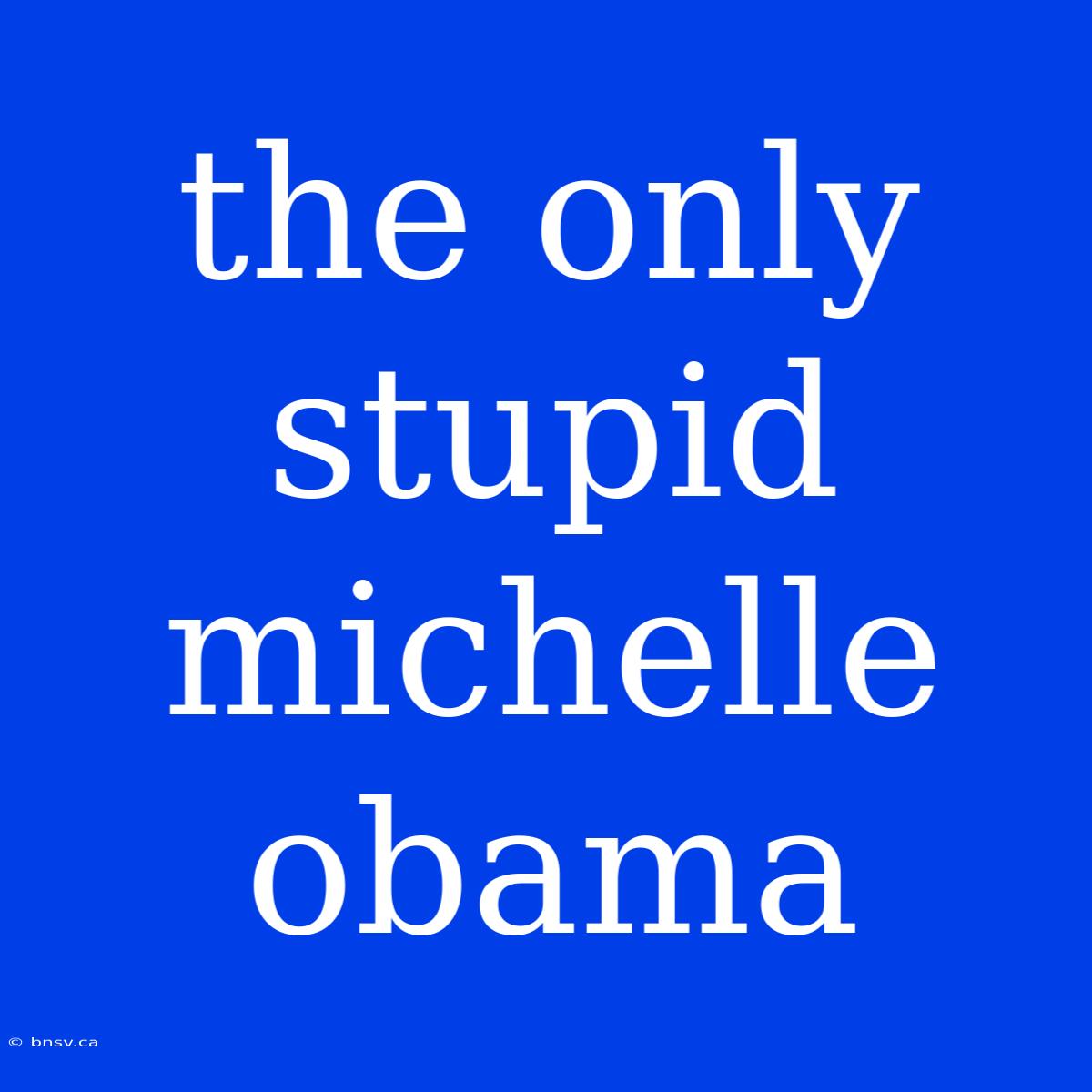 The Only Stupid Michelle Obama