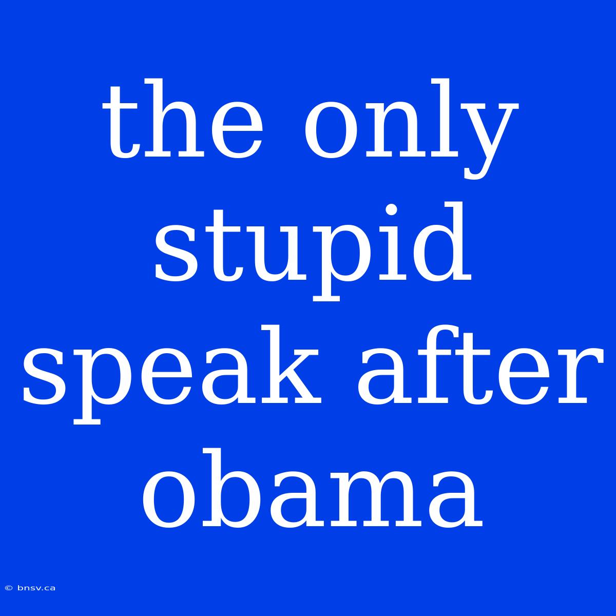 The Only Stupid Speak After Obama