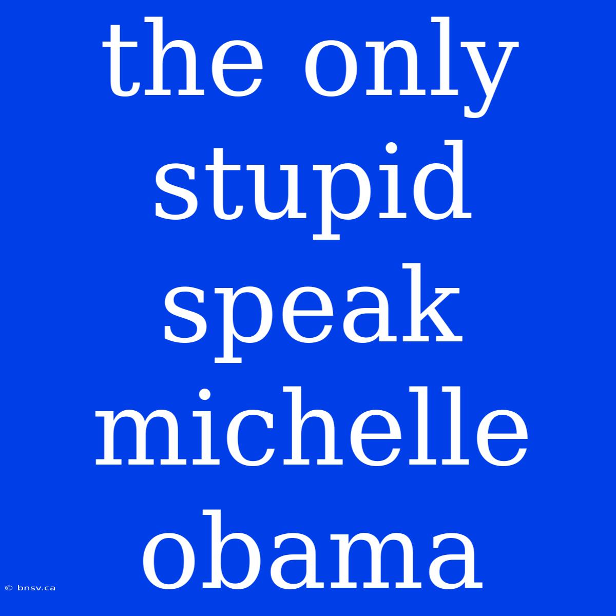 The Only Stupid Speak Michelle Obama