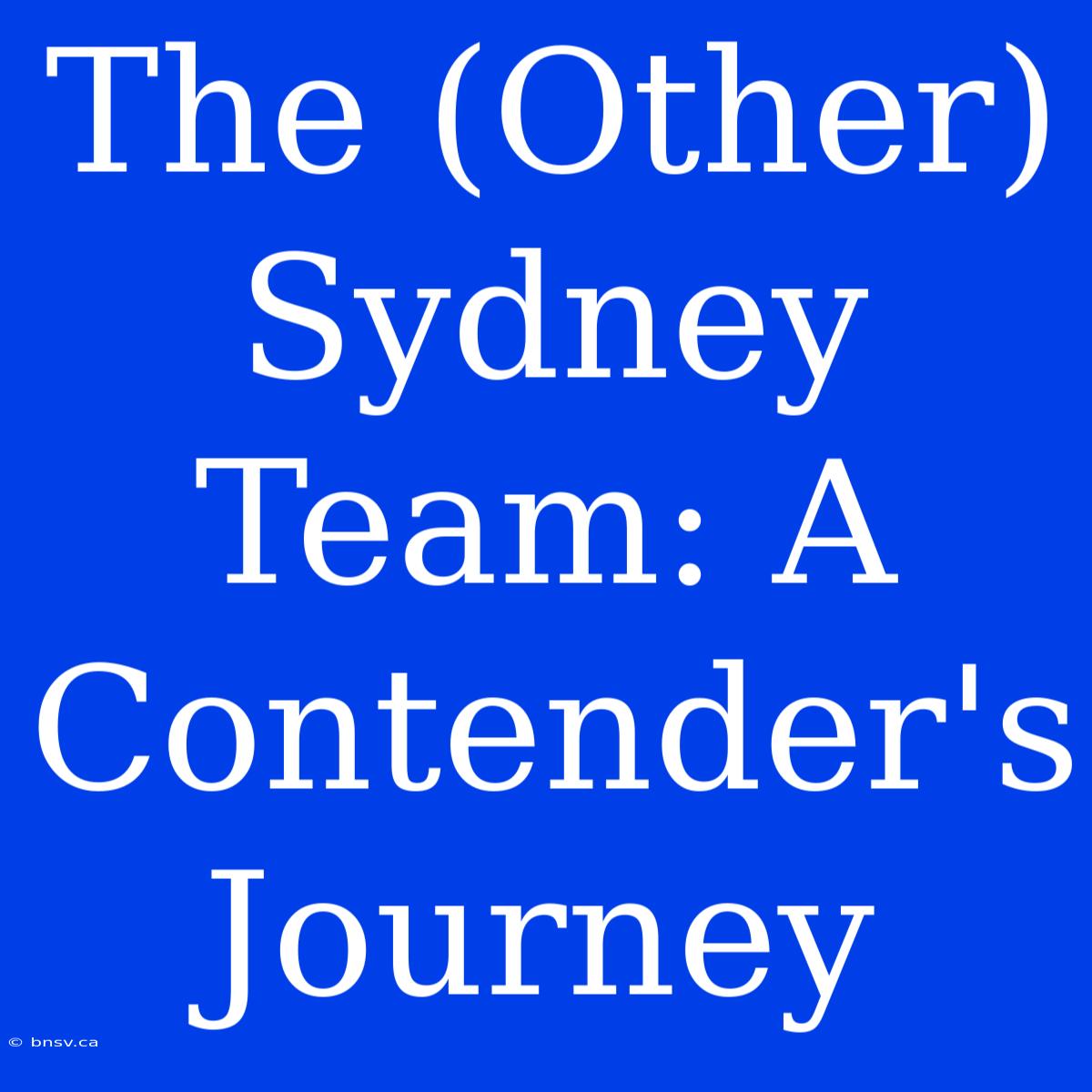 The (Other) Sydney Team: A Contender's Journey