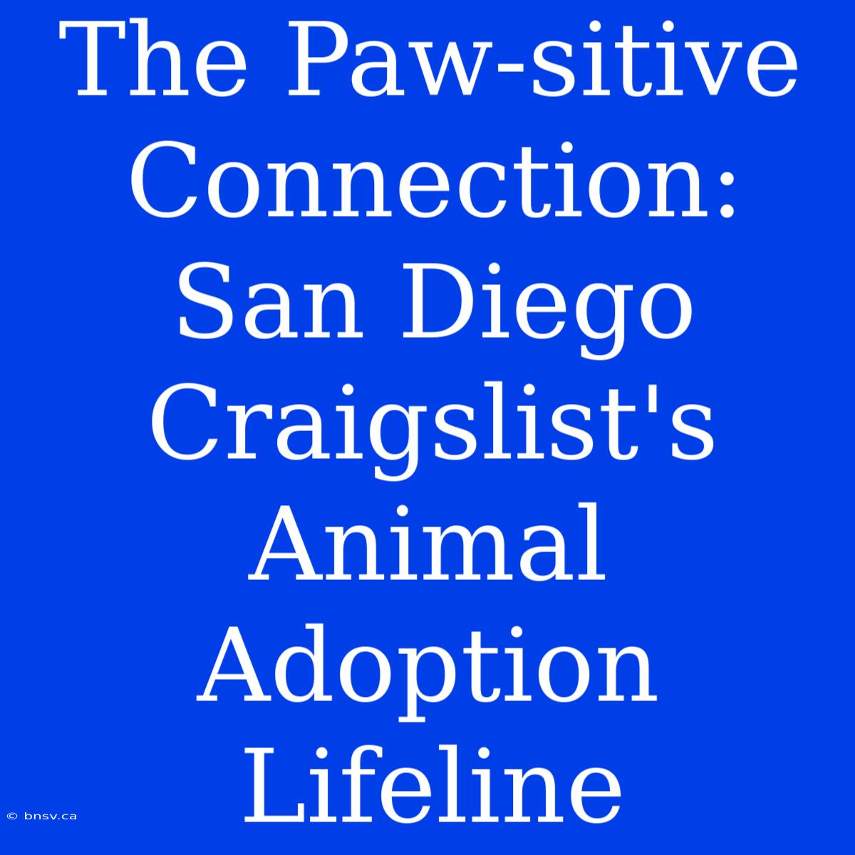 The Paw-sitive Connection: San Diego Craigslist's Animal Adoption Lifeline