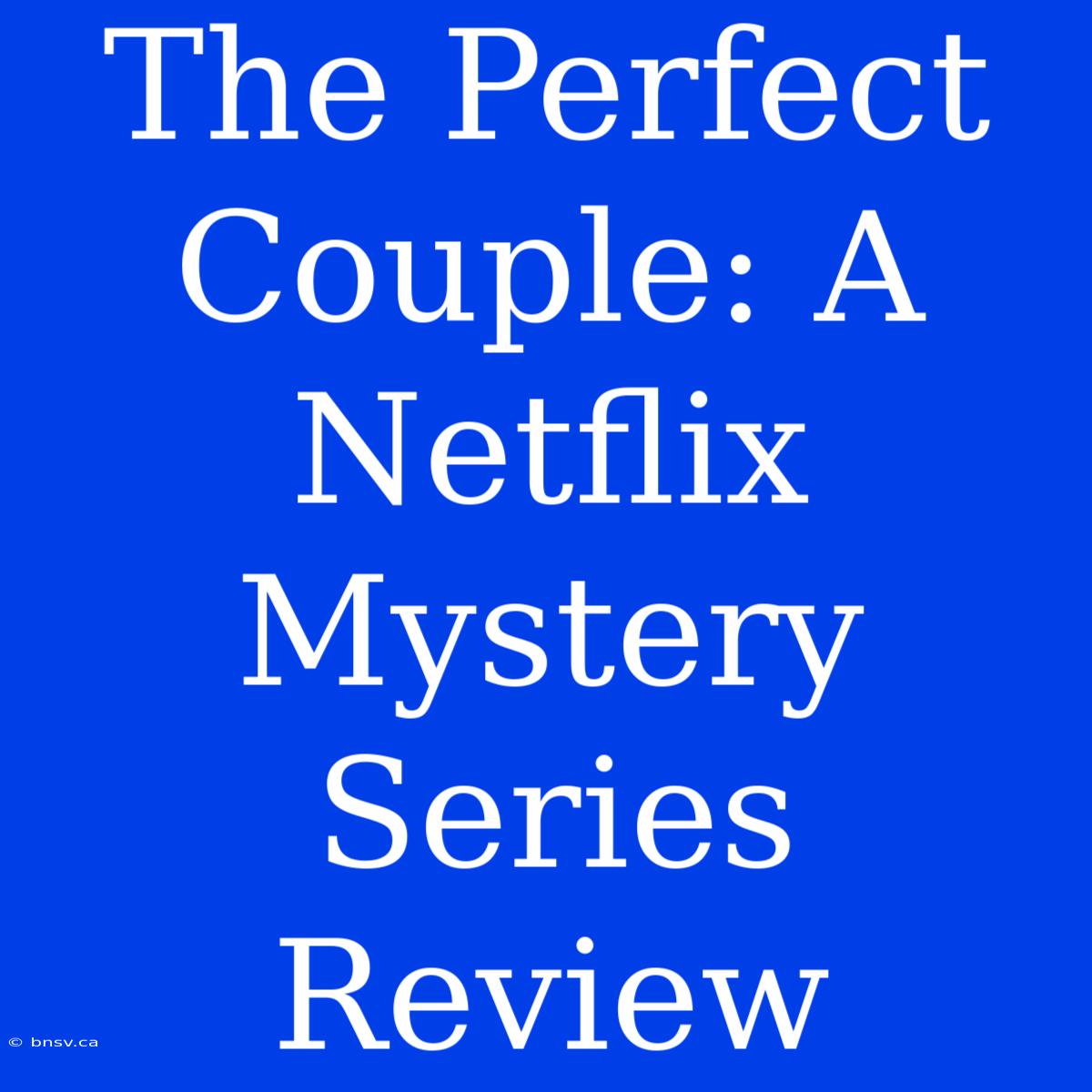 The Perfect Couple: A Netflix Mystery Series Review