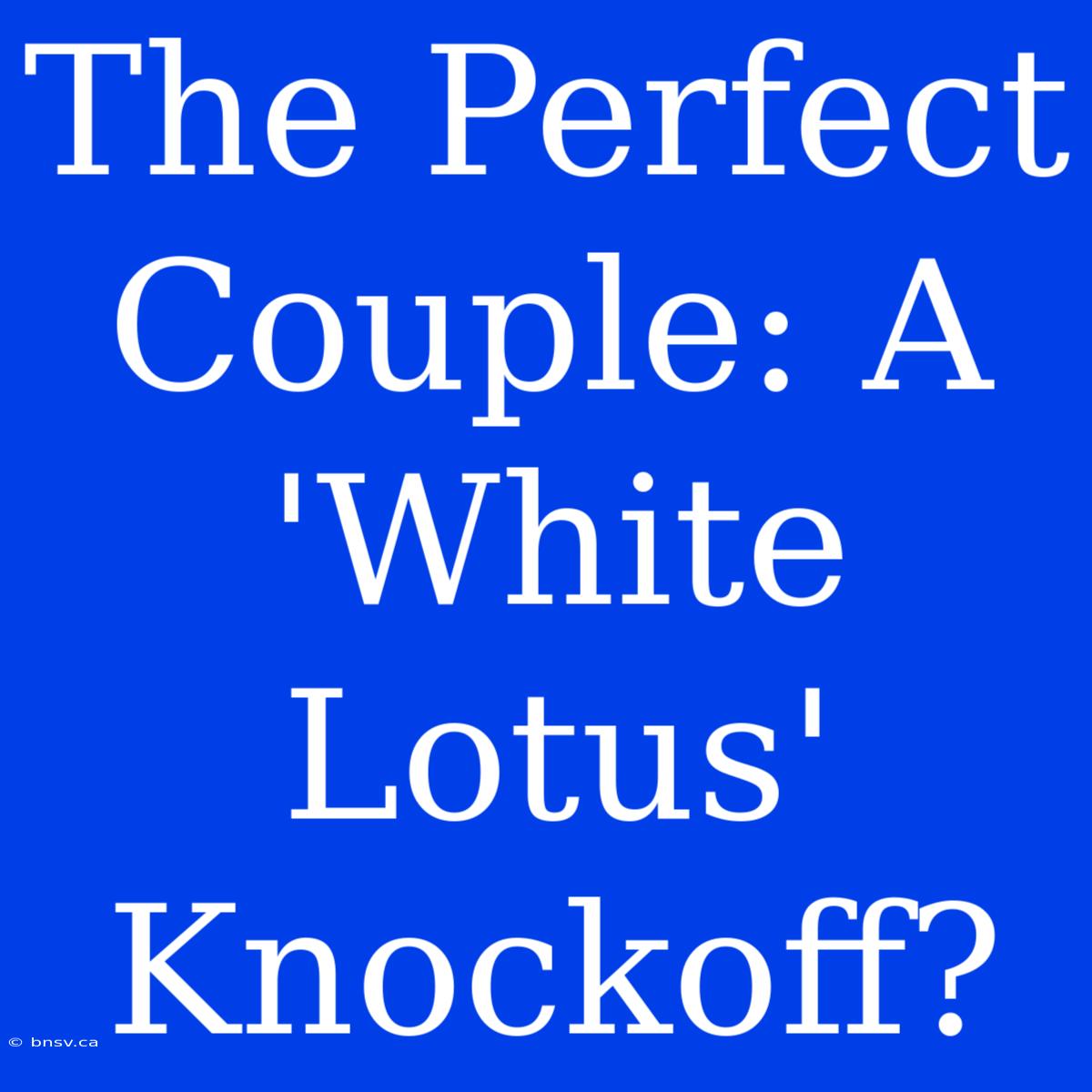 The Perfect Couple: A 'White Lotus' Knockoff?