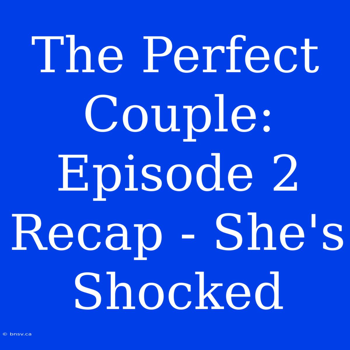 The Perfect Couple: Episode 2 Recap - She's Shocked