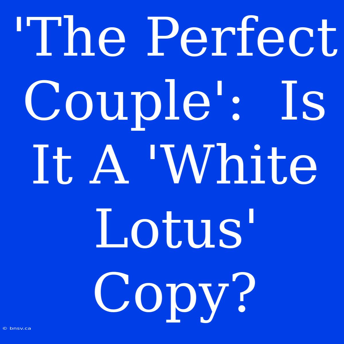 'The Perfect Couple':  Is It A 'White Lotus' Copy?