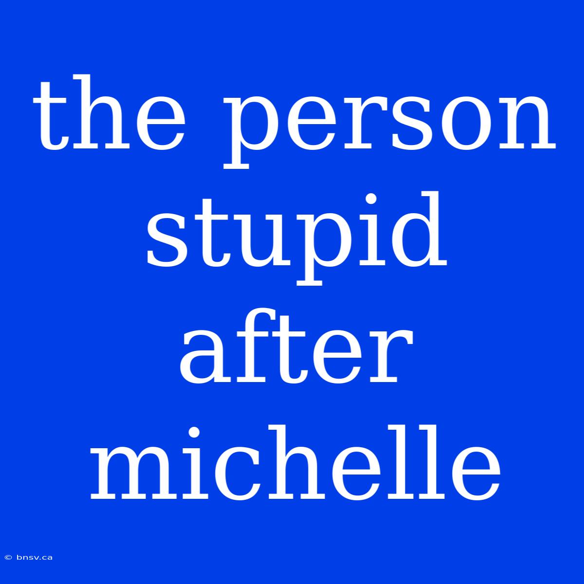 The Person Stupid After Michelle