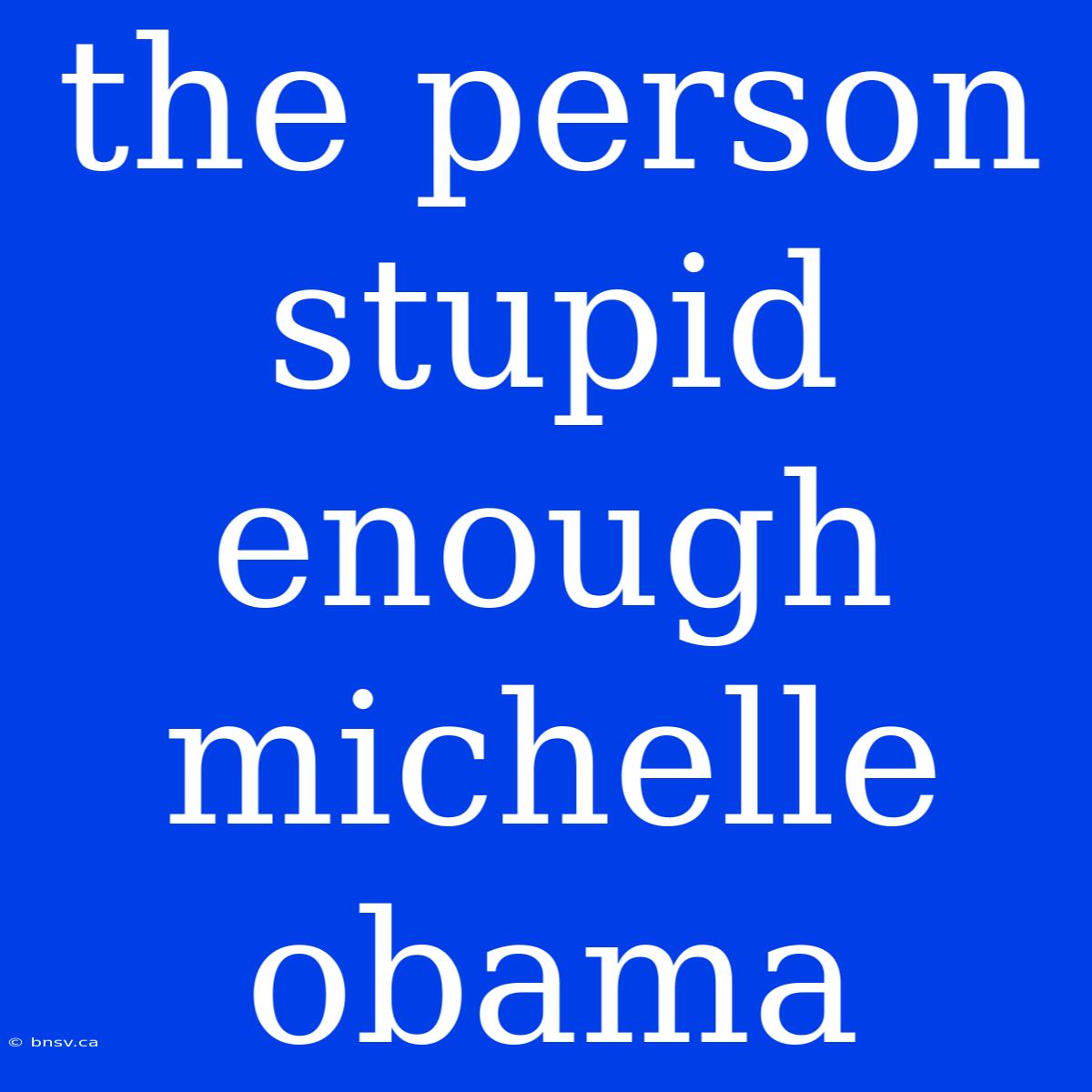 The Person Stupid Enough Michelle Obama