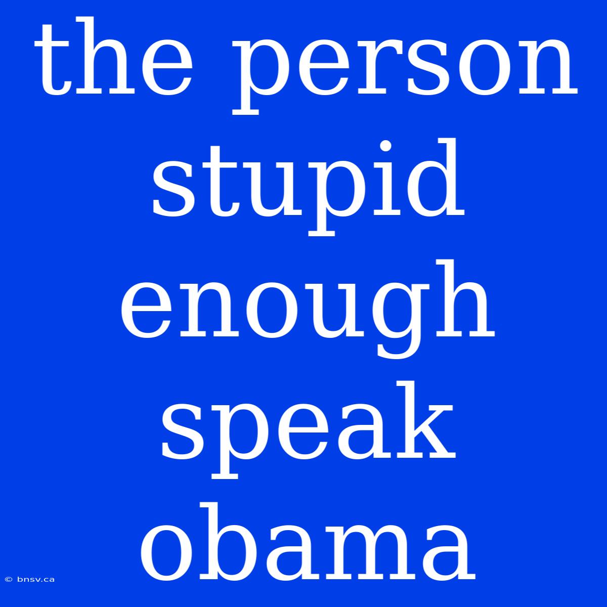 The Person Stupid Enough Speak Obama