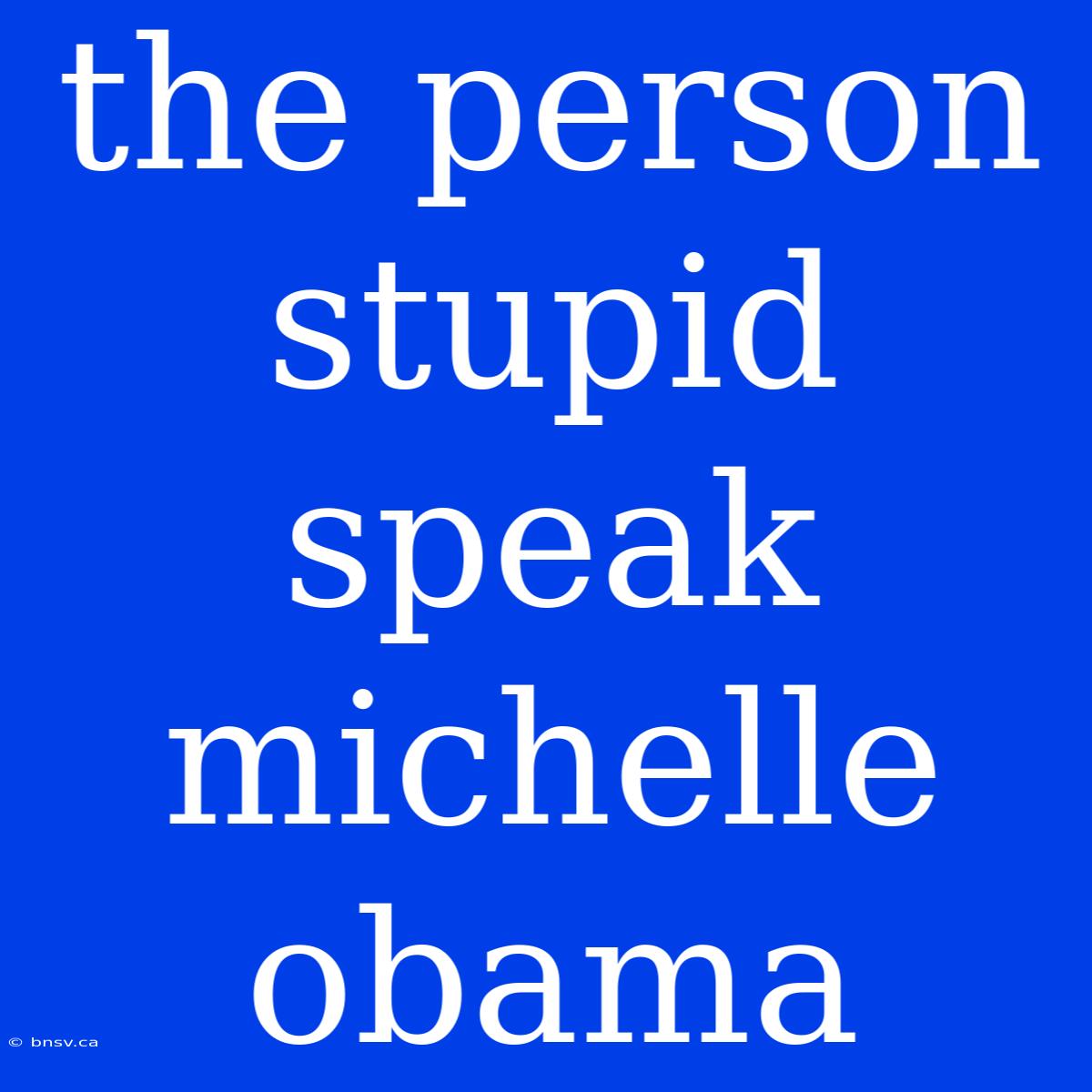 The Person Stupid Speak Michelle Obama