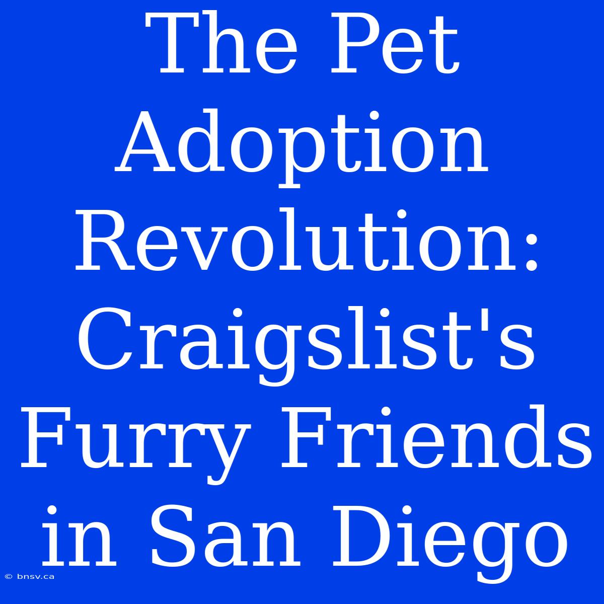 The Pet Adoption Revolution: Craigslist's Furry Friends In San Diego