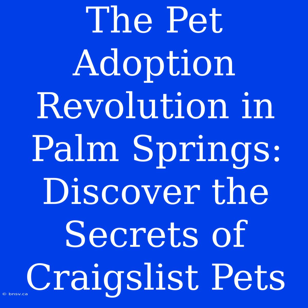 The Pet Adoption Revolution In Palm Springs: Discover The Secrets Of Craigslist Pets