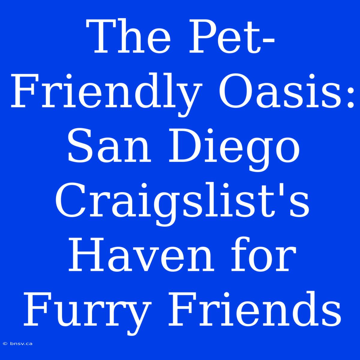 The Pet-Friendly Oasis: San Diego Craigslist's Haven For Furry Friends